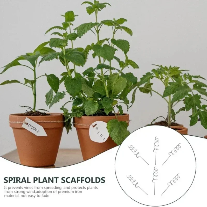 Climbing Plant Support Stake S - огляд і ціна Bonsai Garden Plants