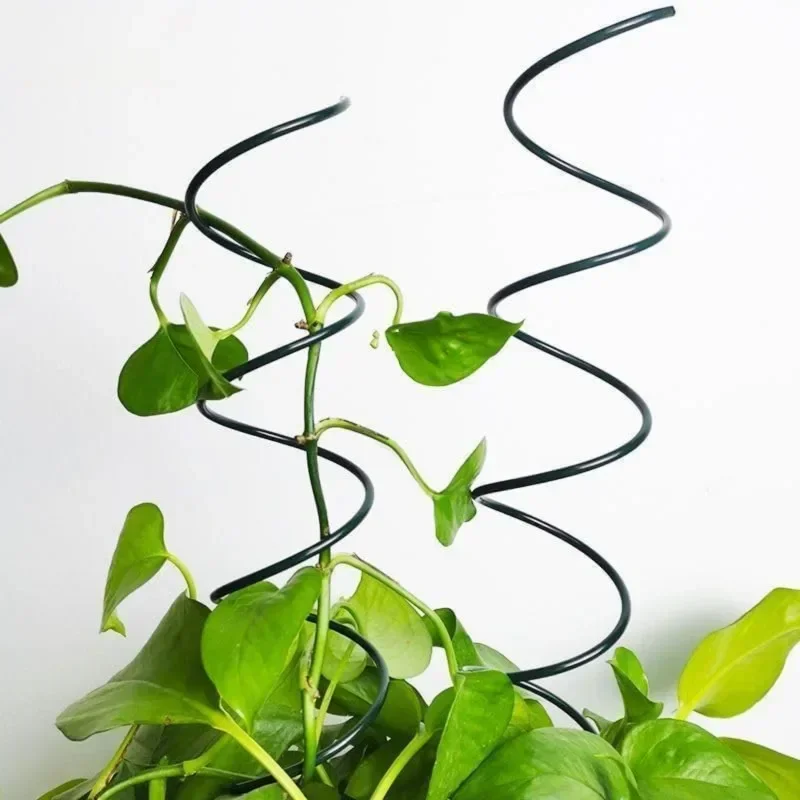 Climbing Plant Support Stake S - огляд і ціна Bonsai Garden Plants