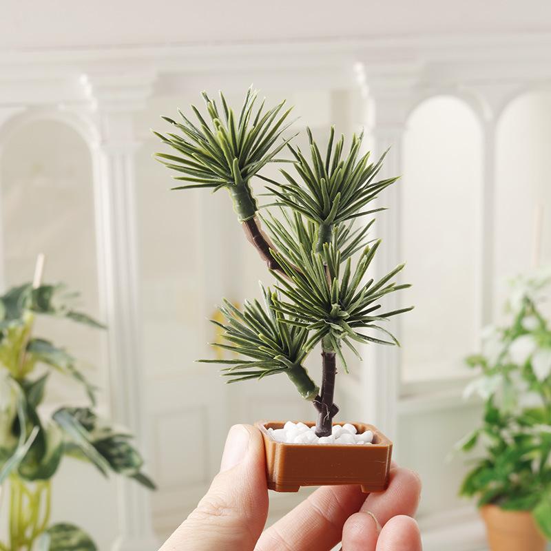 1Pcs Micro Landscape Garden Bo - огляд і ціна Bonsai Garden Plants