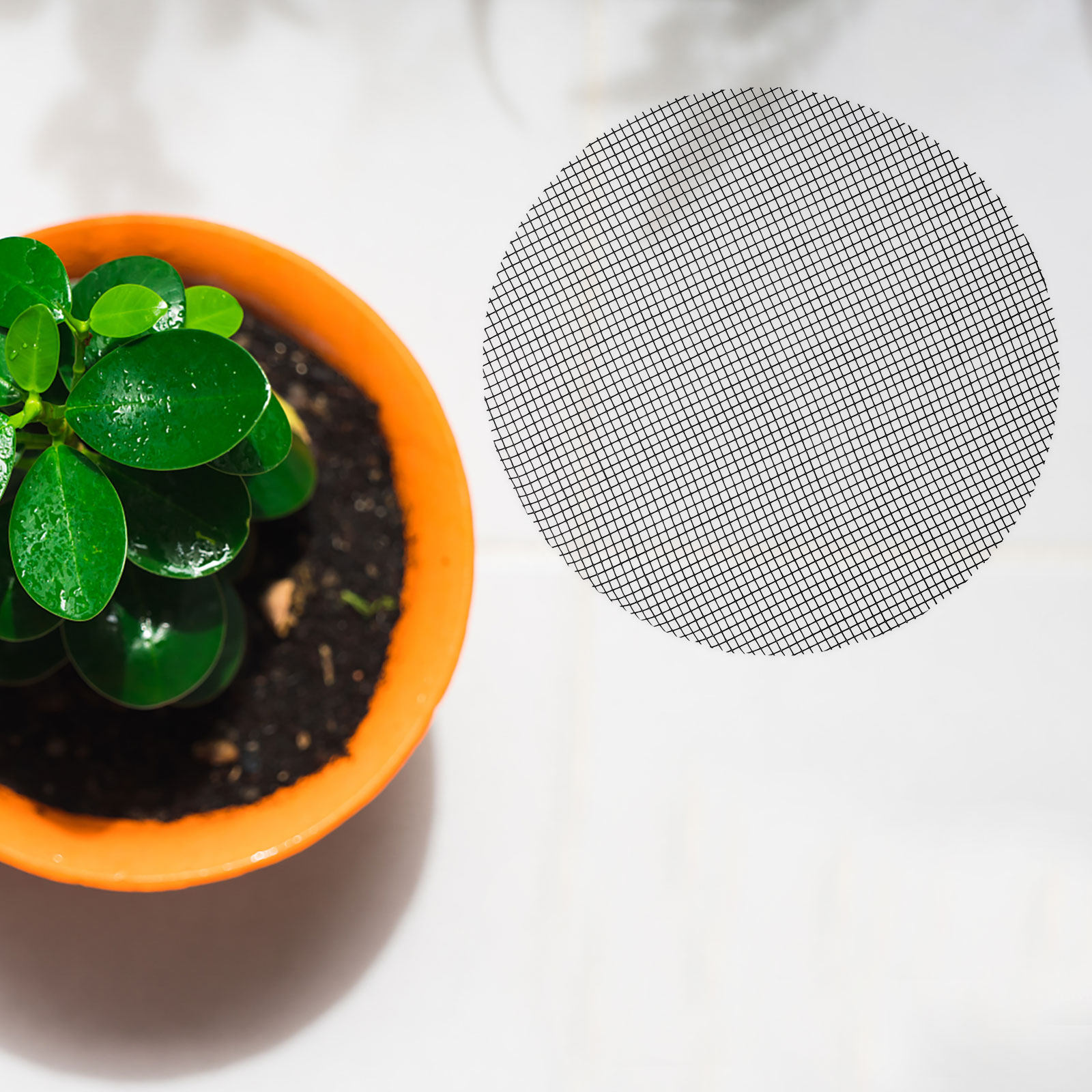 50Pcs Flower Pot Hole Mesh Pad - огляд і ціна Bonsai Garden Plants