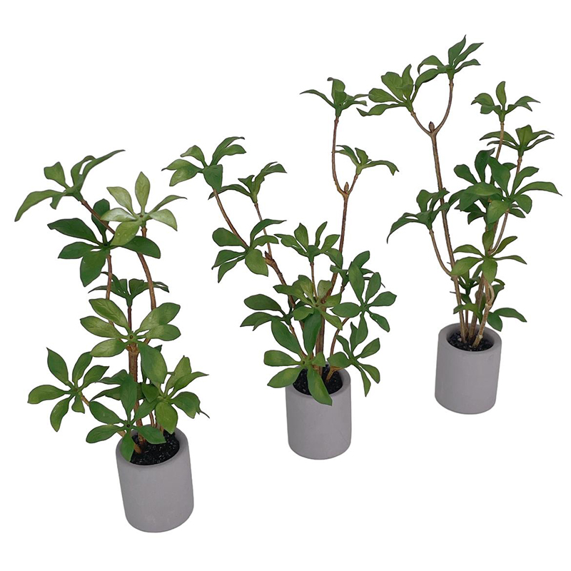 1:6 Dollhouse Miniature Potted - огляд і ціна Bonsai Garden Plants