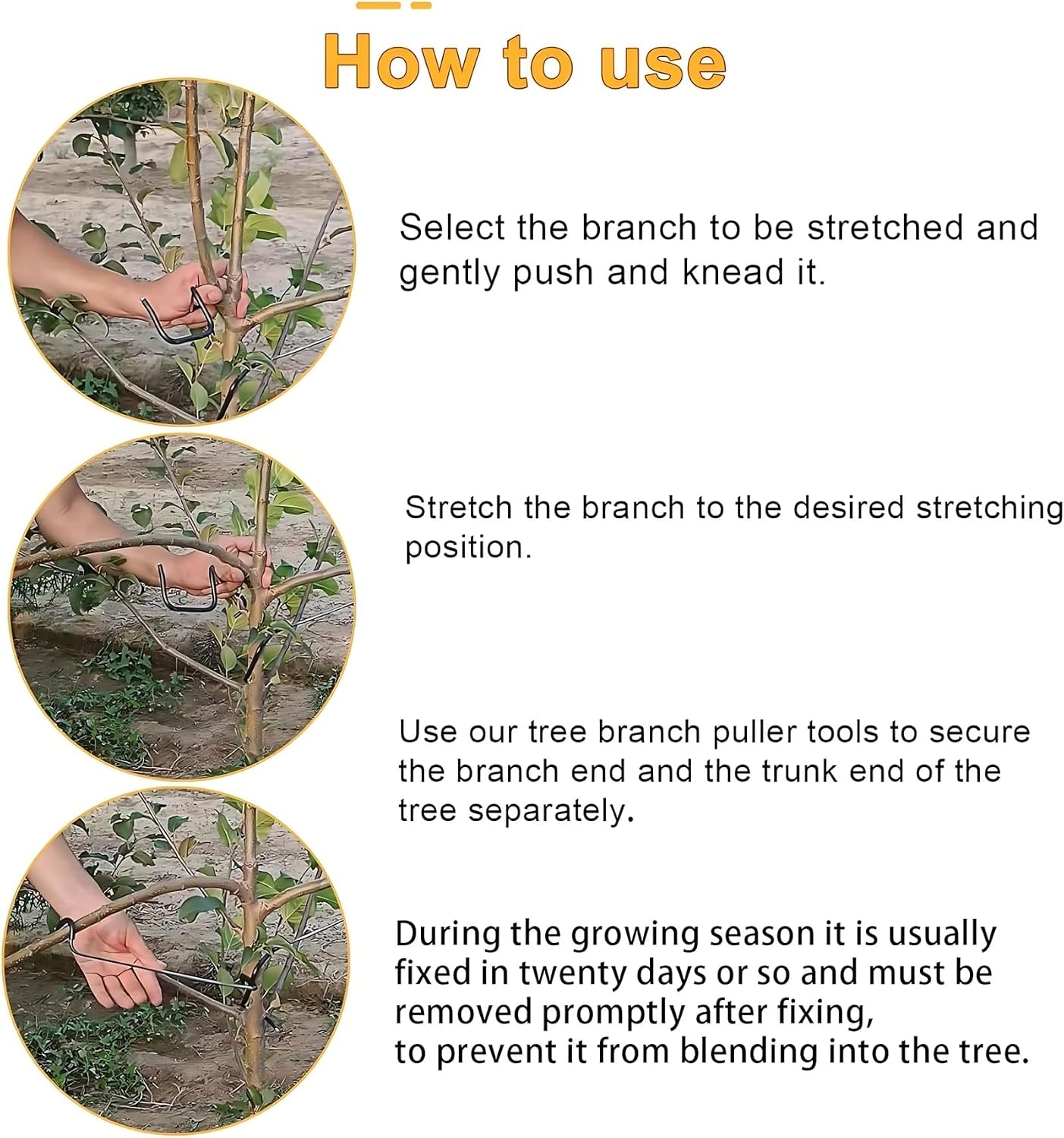 Adjustable Fruit Tree Branch S - огляд і ціна Bonsai Garden Plants