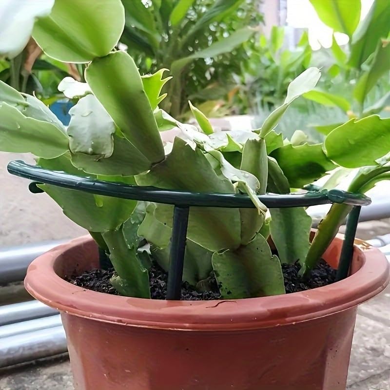 30-1PCS Plastic Plant Support  - огляд і ціна Bonsai Garden Tools