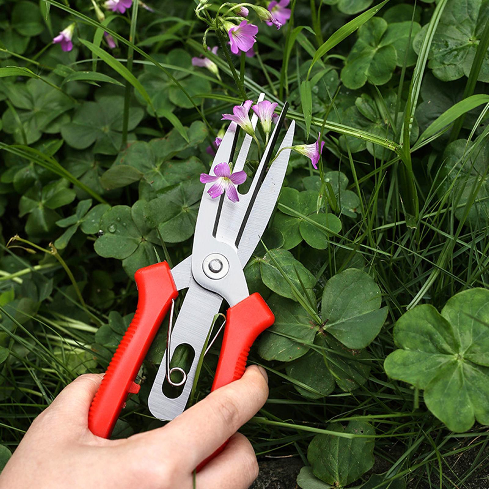 Garden Shears Stainless Steel  - огляд і ціна Bonsai Garden Plants